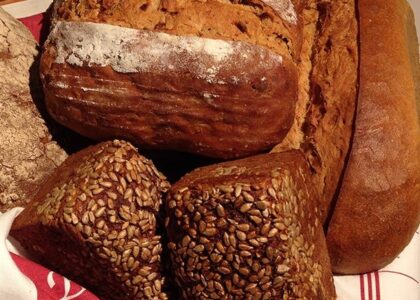 Verschiedene frische Brotleibe und Körnerbrote auf einem rot-weiß karierten Küchentuch angerichtet.