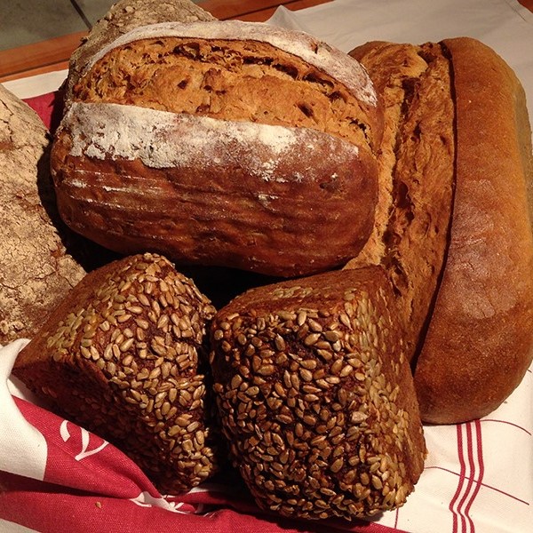 Verschiedene frische Brotleibe und Körnerbrote auf einem rot-weiß karierten Küchentuch angerichtet.