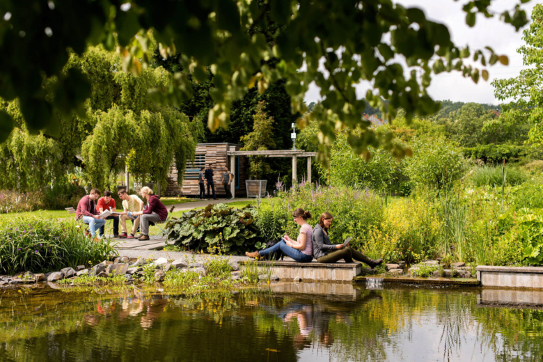 Studierende sitzen und unterhalten sich in einer grünen Parkanlage an einem Teich.