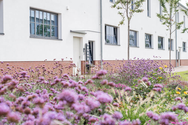Weißes Bürogebäude mit klinkerverkleidetem Sockel und lila blühendem Garten im Vordergrund.