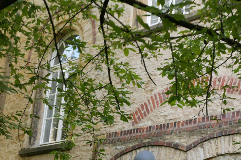 Nahaufnahme einer hellen Sandstein-Fassade mit Rundbogenfenster und grünen Blättern im Vordergrund.