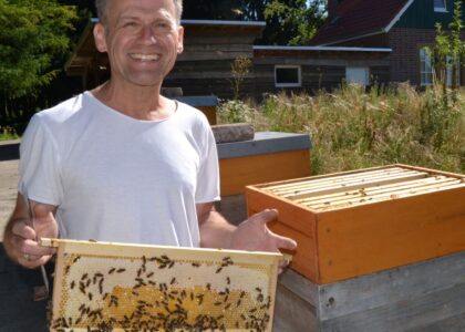Lächelnder Imker im weißen T-Shirt hält eine mit Bienen besetzte Honigwabe vor hölzernen Bienenstöcken.
