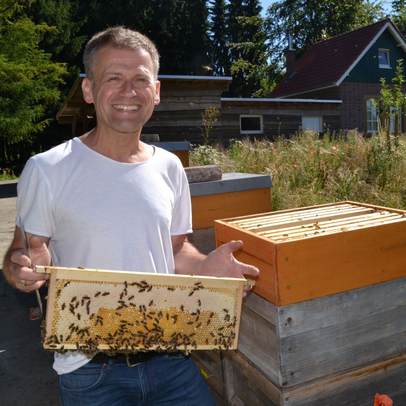 Lächelnder Imker im weißen T-Shirt hält eine mit Bienen besetzte Honigwabe vor hölzernen Bienenstöcken.
