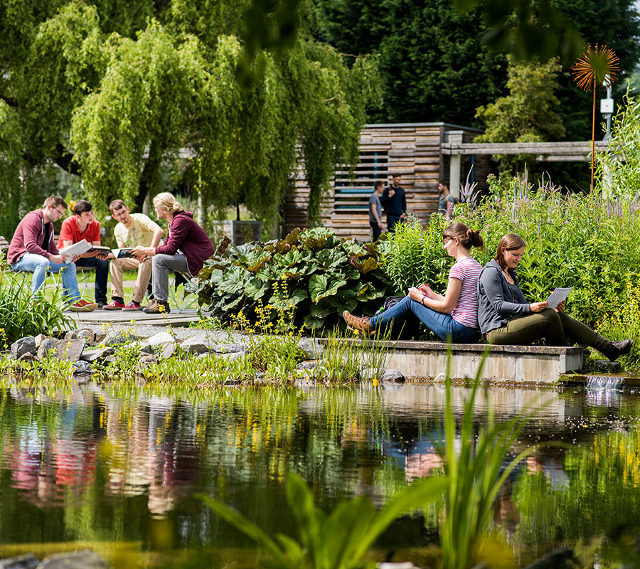 Studierende lernen im Grünen an einem Gartenteich auf dem Campus; eine Gruppe sitzt auf Stühlen, zwei Personen am Ufer.