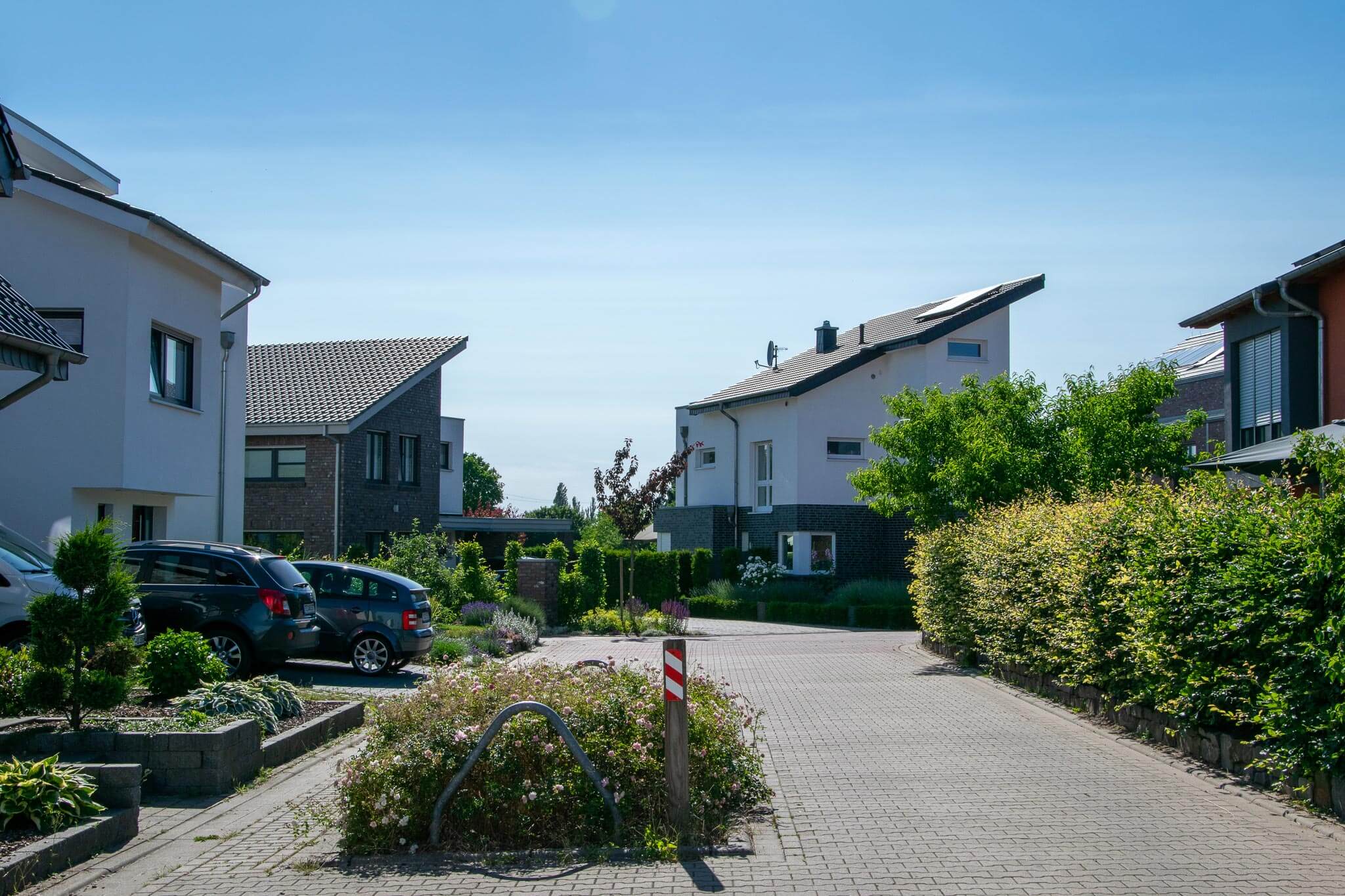 Moderne Wohnsiedlung mit gepflasterter Straße, Pultdachhäusern, Autos und gepflegten Hecken.