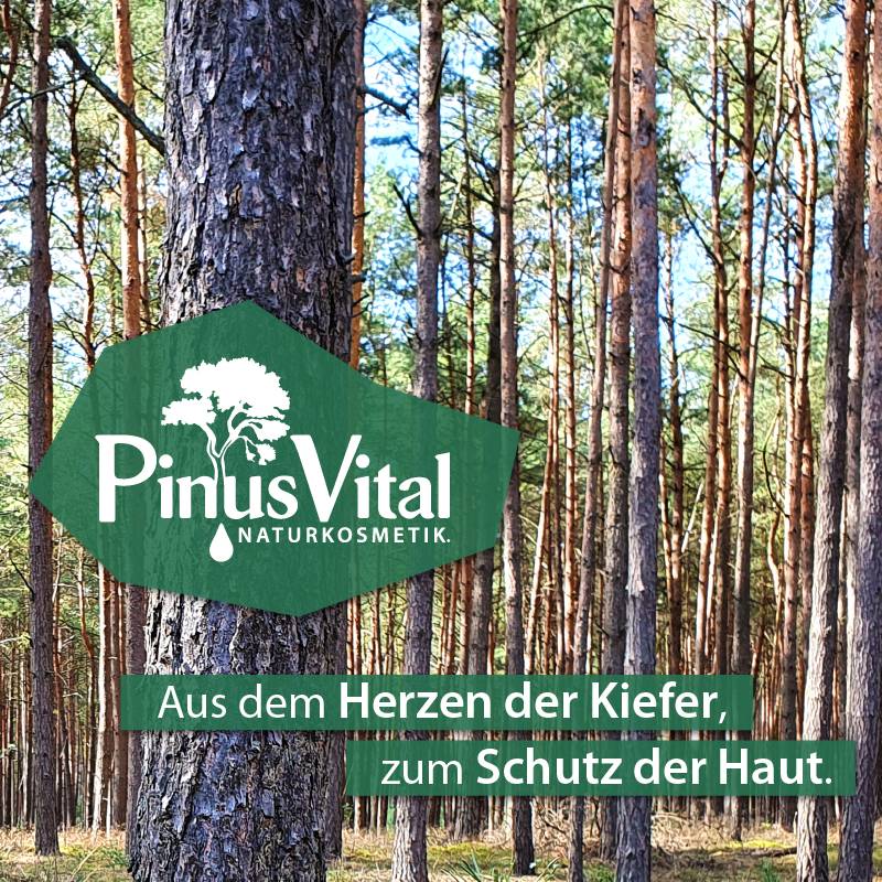Kiefernwald im Hintergrund, im Vordergrund ein Logo mir Schriftzug: PinusVital Naturkosmetik. Dazu ein grün hinterlegter Spruch: Aus dem Herzen der Kiefer, zum Schutz der Haut.