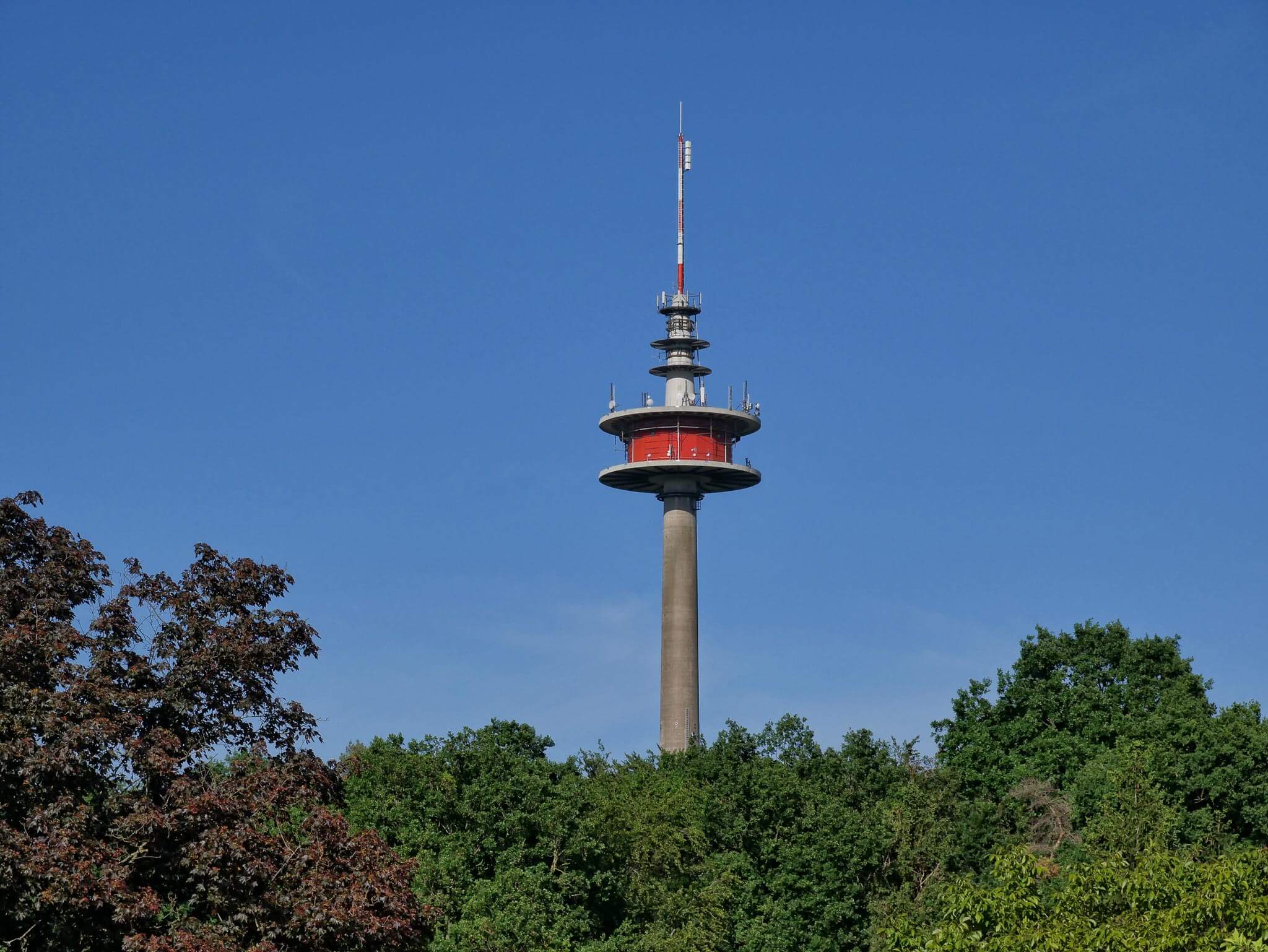 Hoher Fernmeldeturm mit rot-weißer Plattform ragt hinter einem dichten, grünen Waldrand empor.