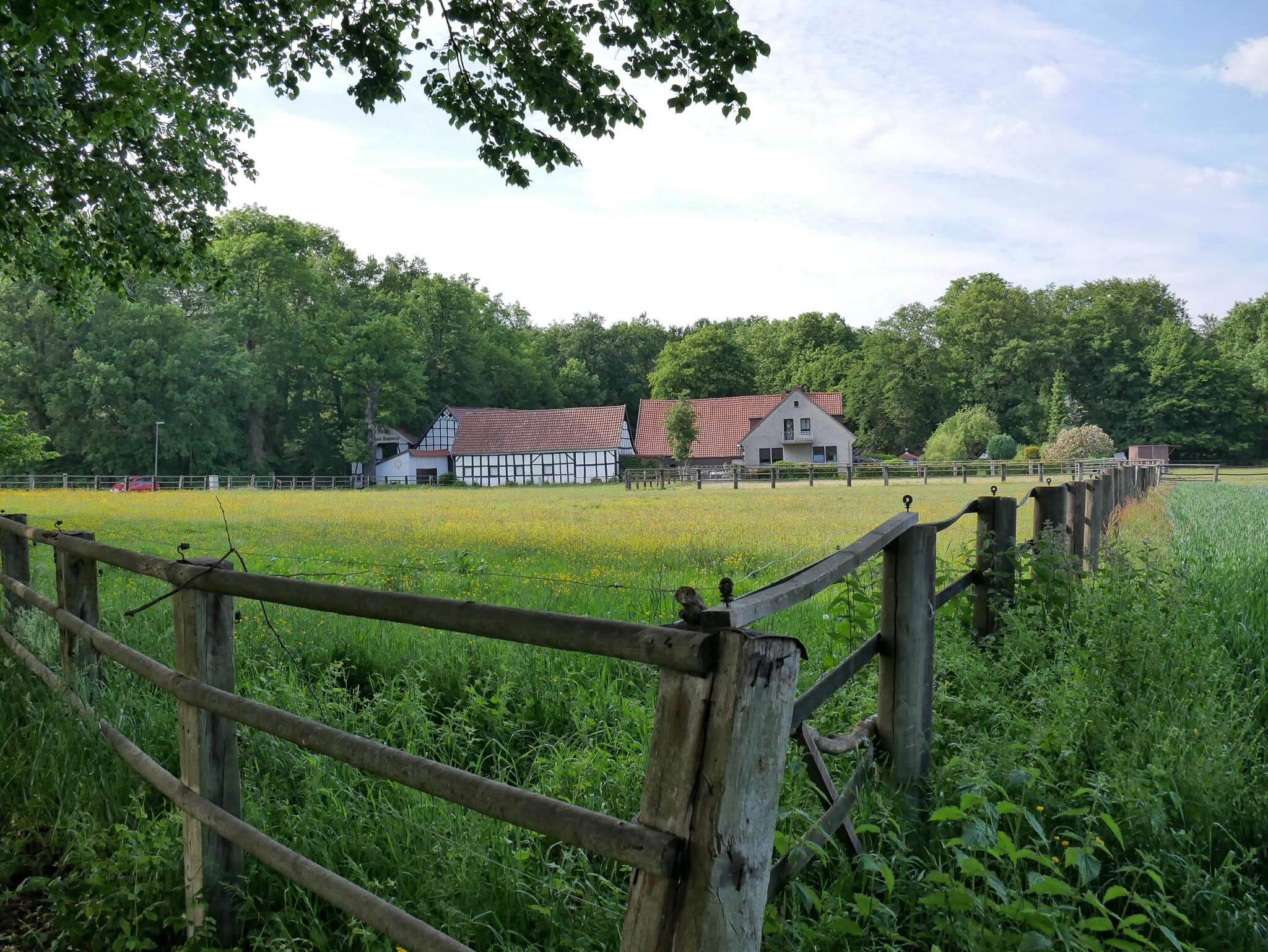 Holzzaun vor einer blühenden Sommerwiese mit Fachwerkhäusern und Waldrand im Hintergrund.