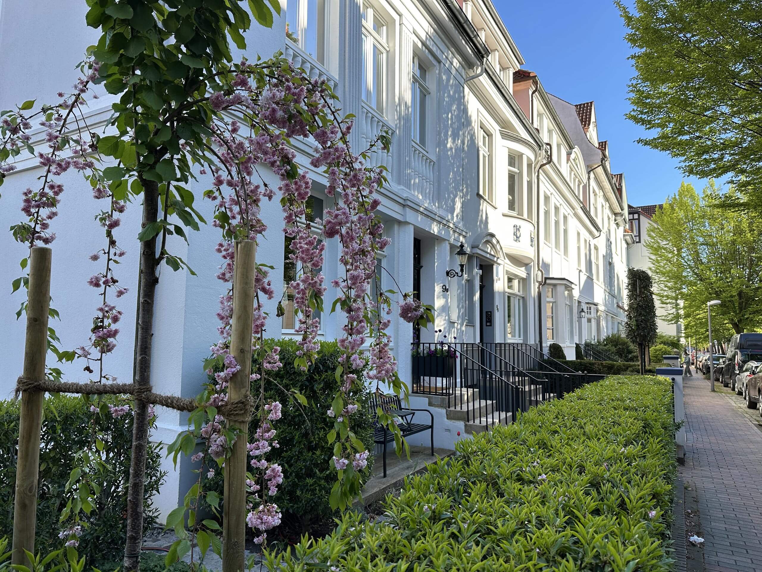 Weiße Altbau-Fassaden mit Vorgärten, blühendem Zierbaum und gepflastertem Gehweg an einem Sonnentag.